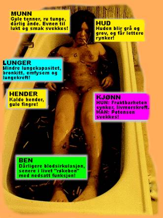 kroppskade.jpg (29104 bytes)
